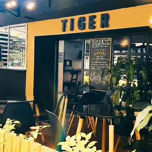 Tiger Hostal Medellín